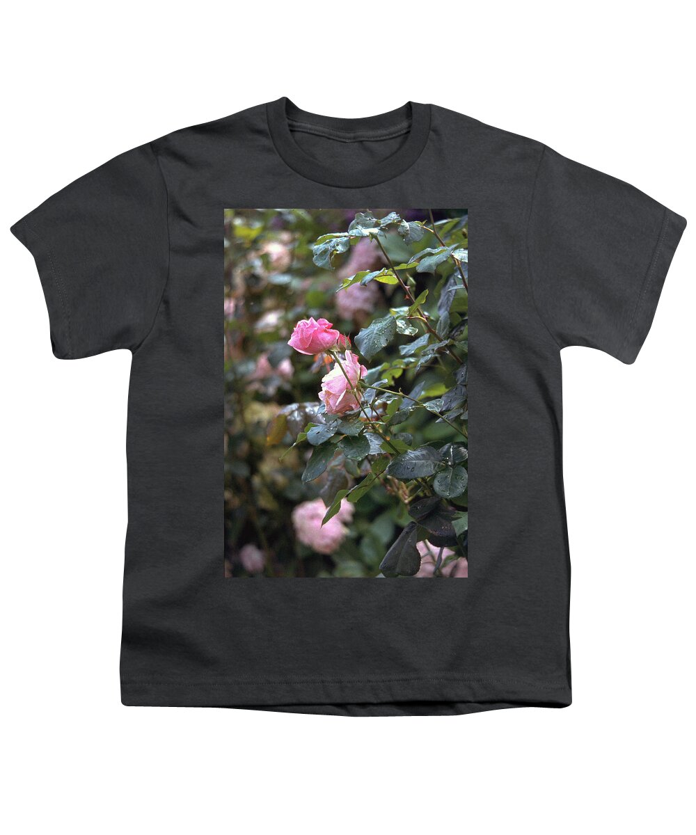 Roses Youth T-Shirt featuring the photograph Roses by Flavia Westerwelle