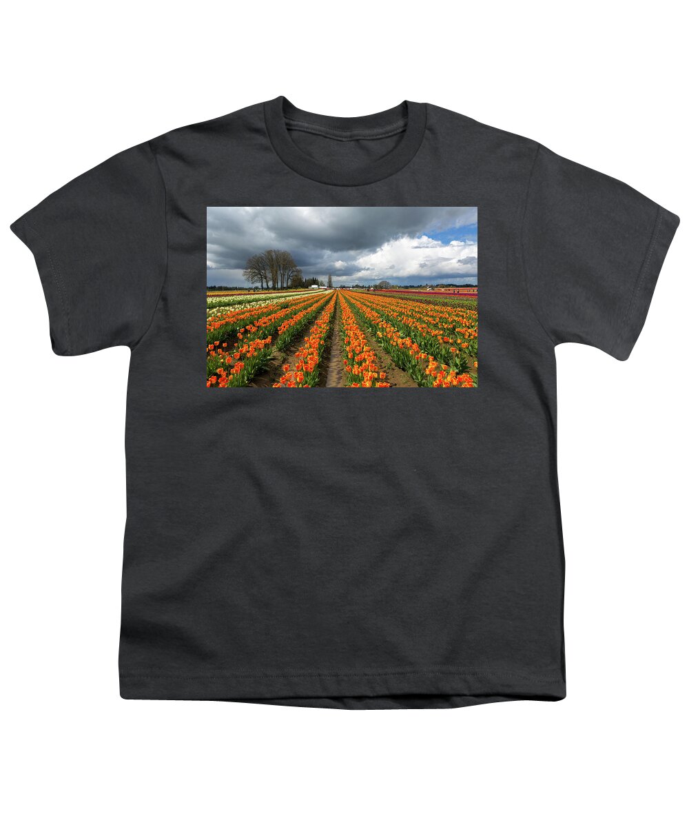 Wooden Shoe Youth T-Shirt featuring the photograph Rows of Colorful Tulips at Festival by David Gn