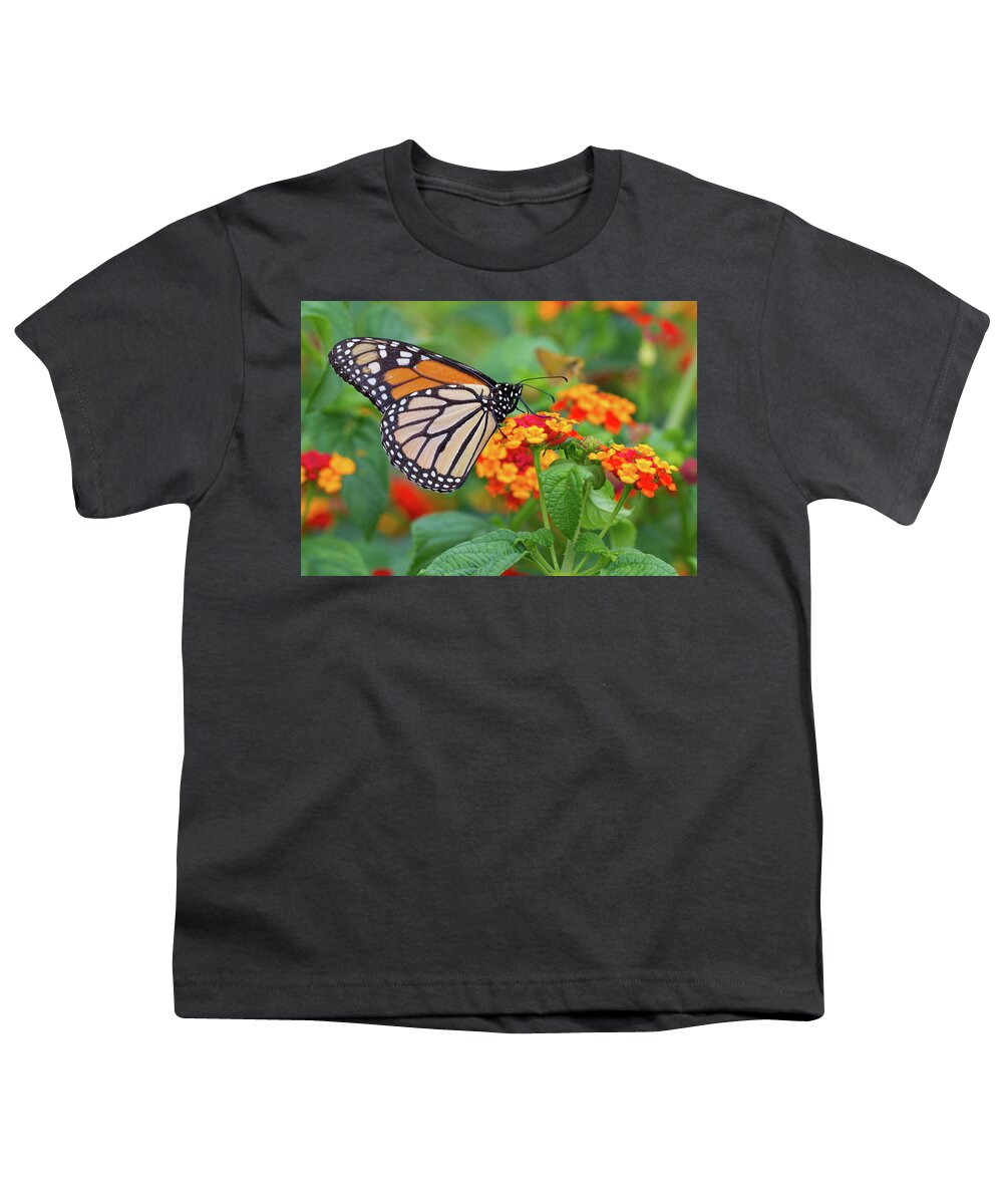 Butterfly Youth T-Shirt featuring the photograph Royal Butterfly by Shelley Neff