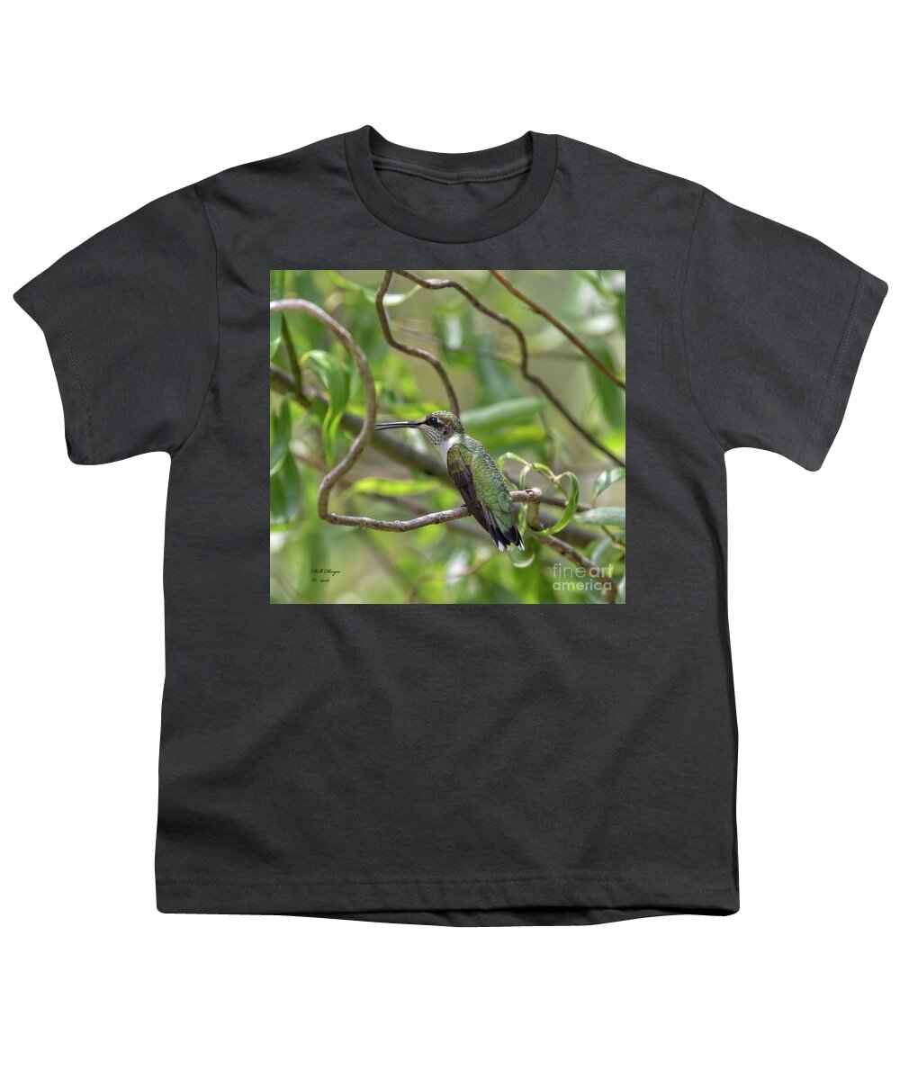 Hummingbirds Youth T-Shirt featuring the photograph Ruby-Throated Hummingbird - Female by DB Hayes
