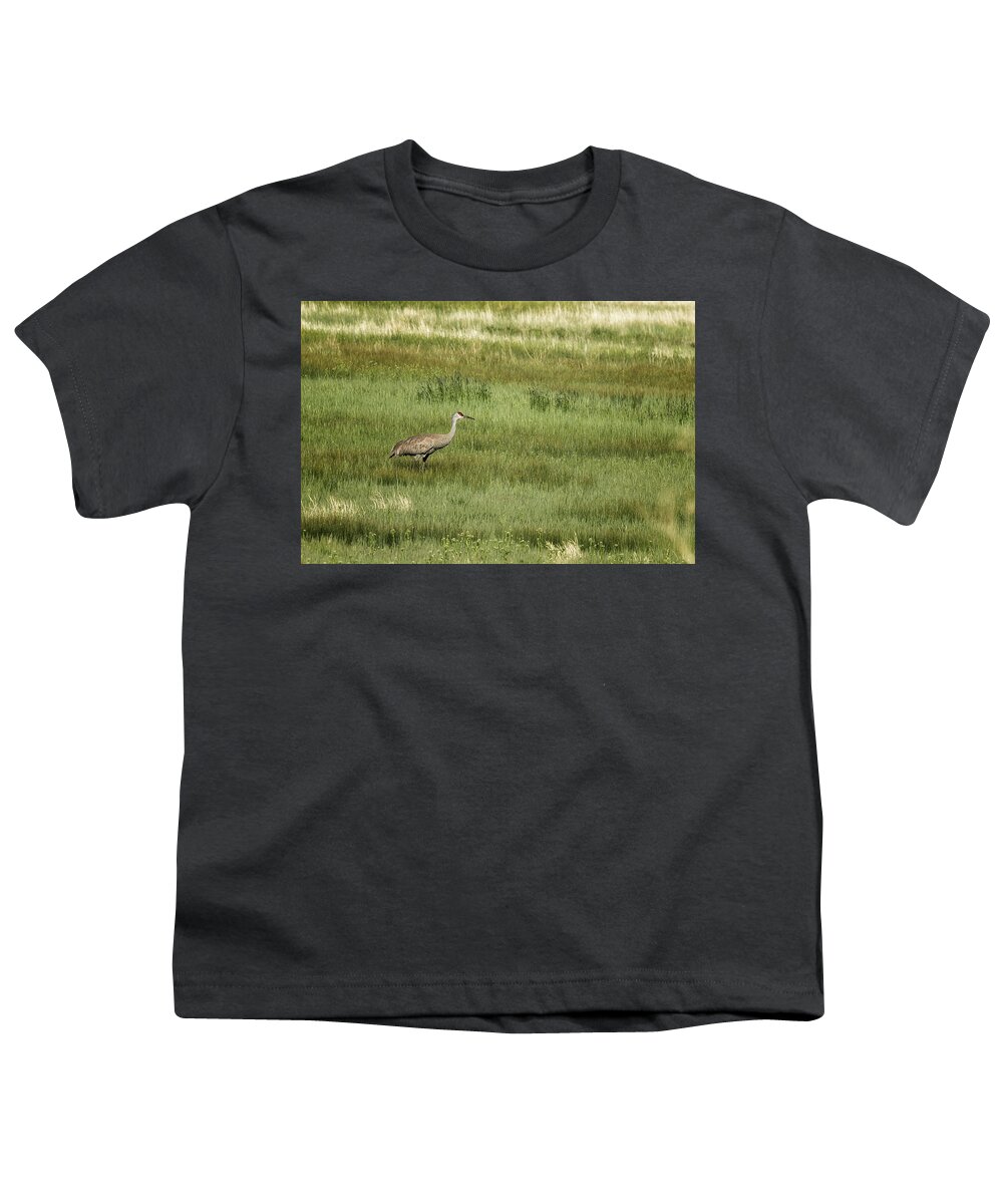 Sandhill Crane Youth T-Shirt featuring the photograph Sandhill Crane in a Field of Greens and Yellows, No. 1 by Belinda Greb