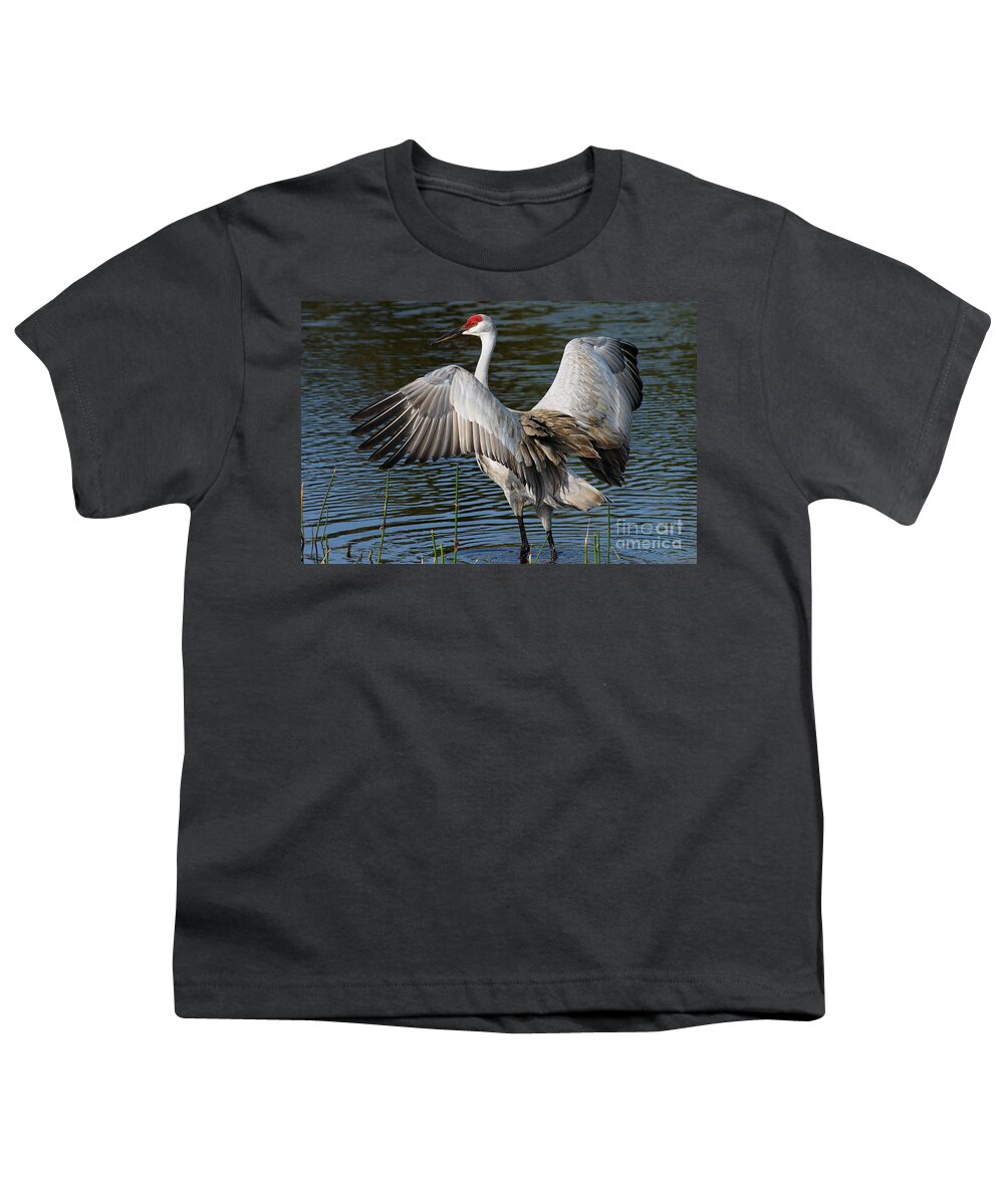 Sandhill Crane Youth T-Shirt featuring the photograph Sandhill Crane Wingstretch by Larry Nieland