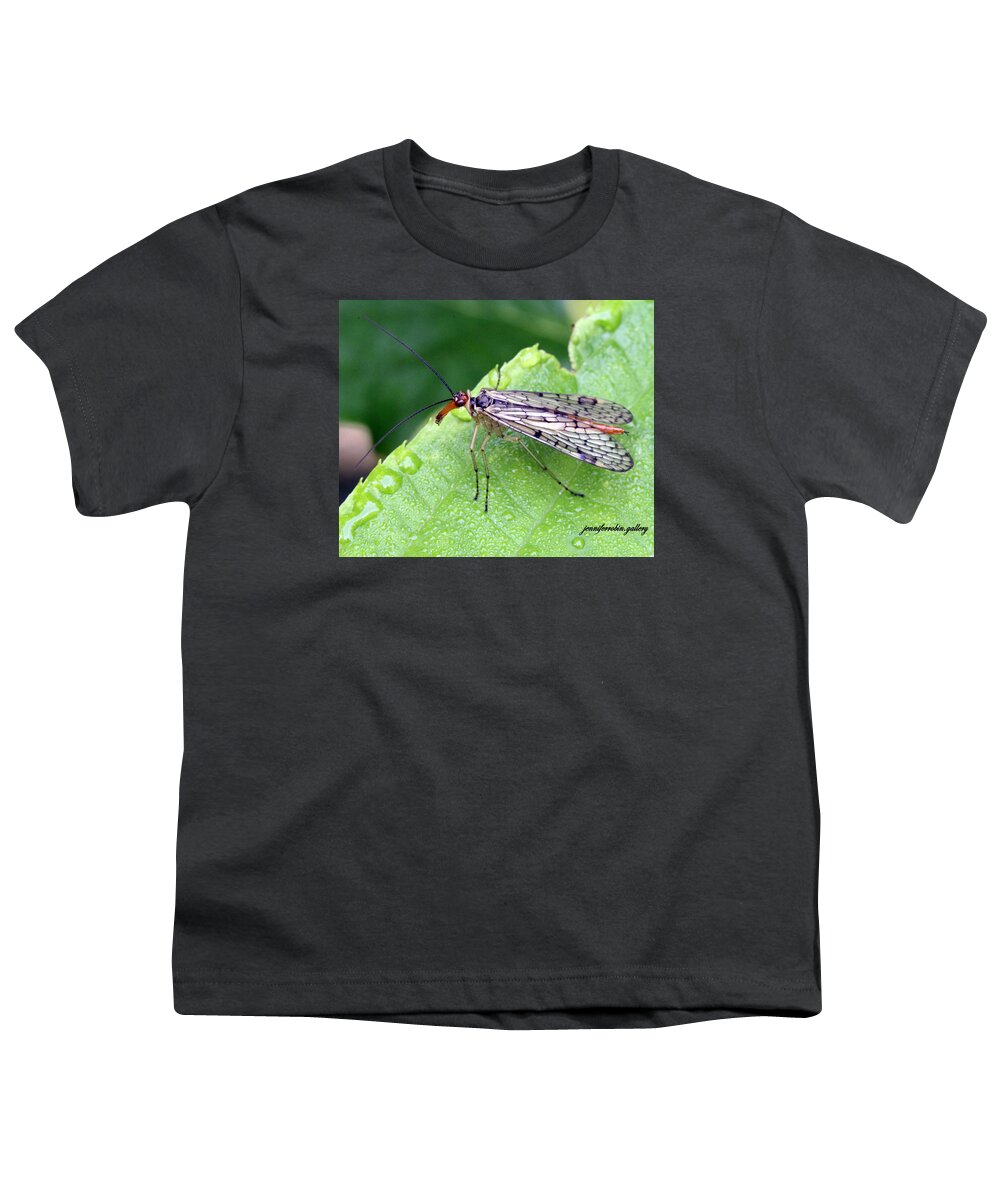 Insects Youth T-Shirt featuring the photograph Scorpion Fly by Jennifer Robin