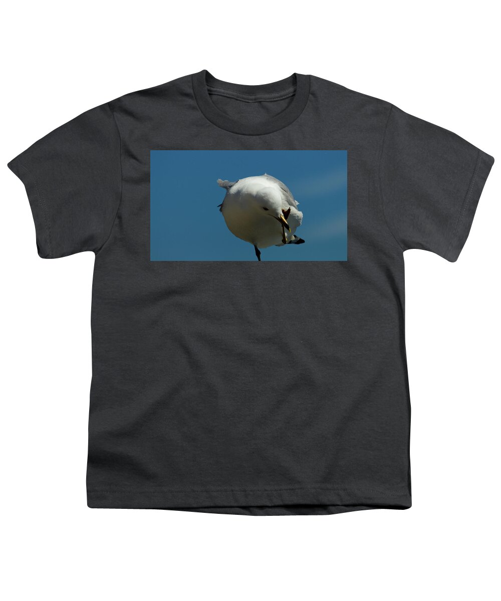 Albatross Youth T-Shirt featuring the digital art Seagull by Robert Zeigler