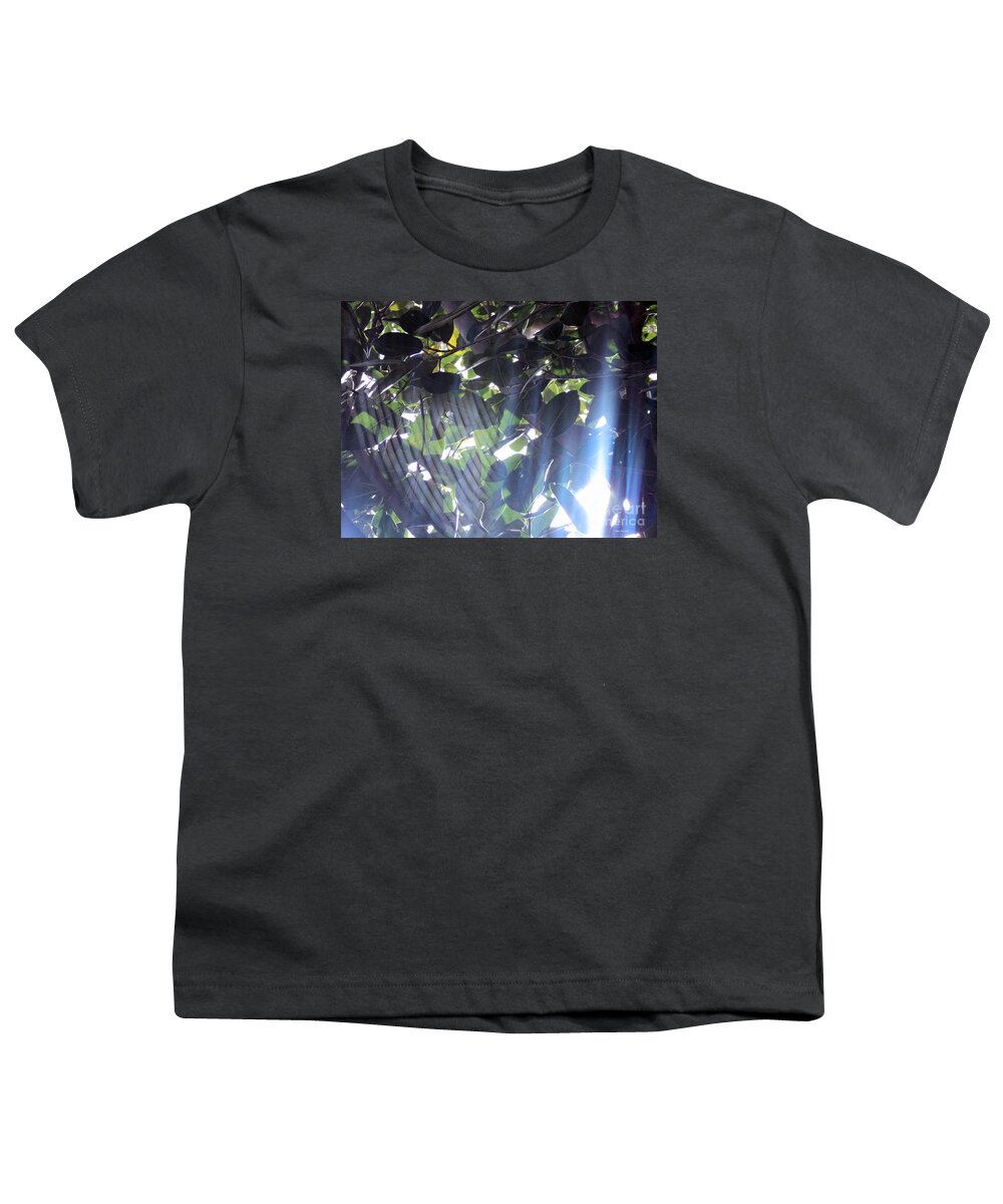 Cobwebs Youth T-Shirt featuring the photograph Shadow Threads by Megan Dirsa-DuBois