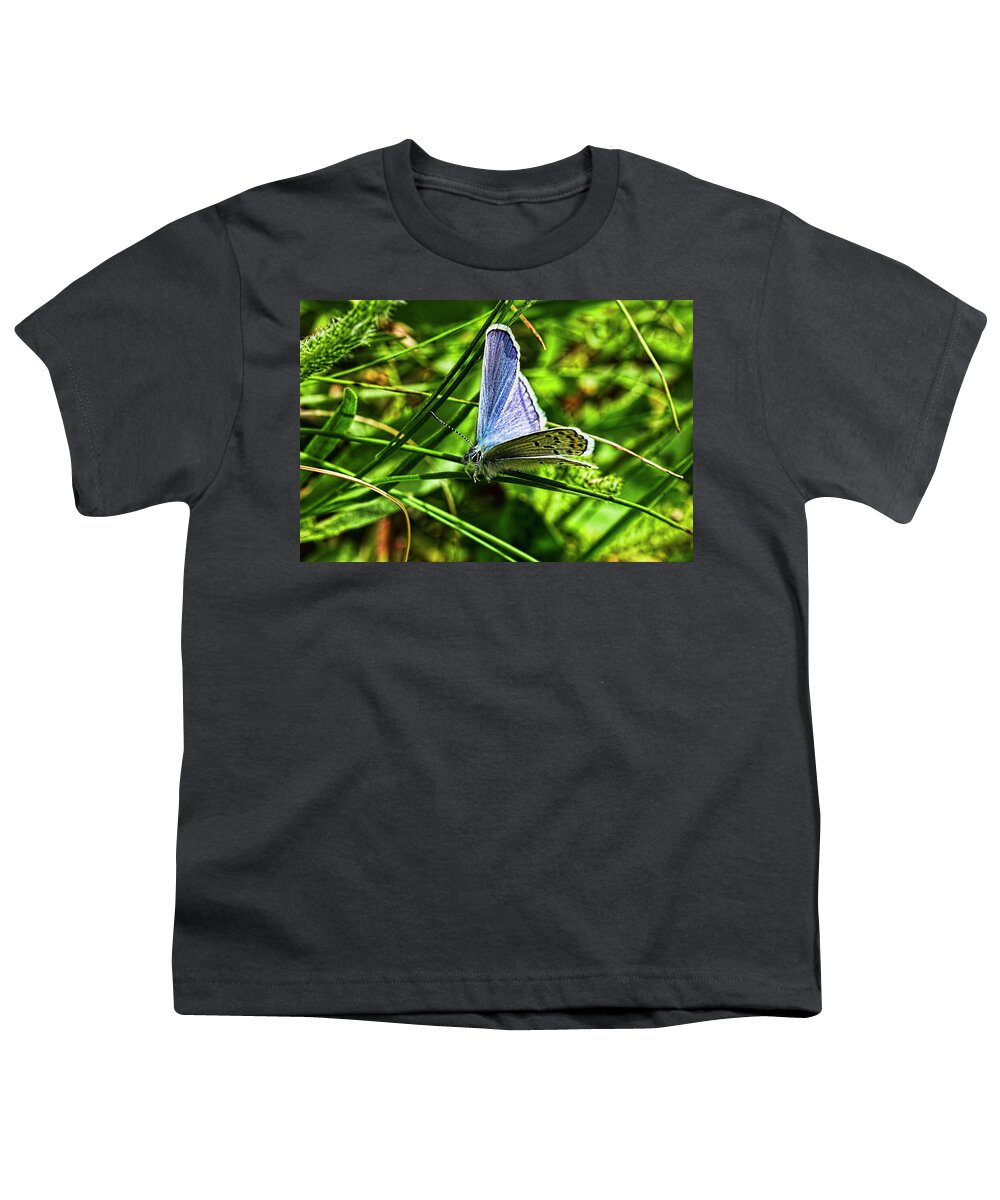 Shasta Blue Butterfly Youth T-Shirt featuring the photograph Shasta Blue Butterfly by Josh Bryant