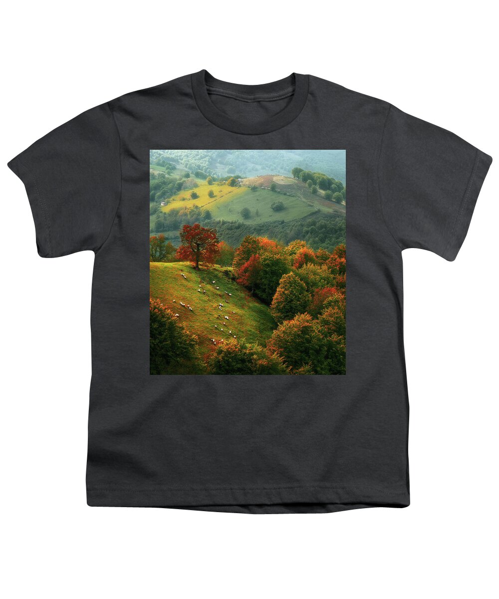 Urepel Youth T-Shirt featuring the photograph sheep in Urepel at autumn by Mikel Martinez de Osaba