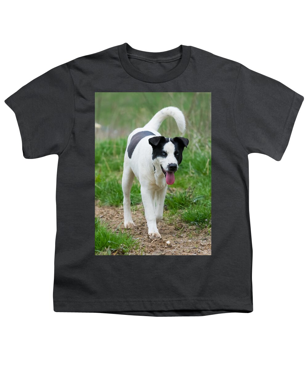 Dog Youth T-Shirt featuring the photograph Silly Dog by Holden The Moment