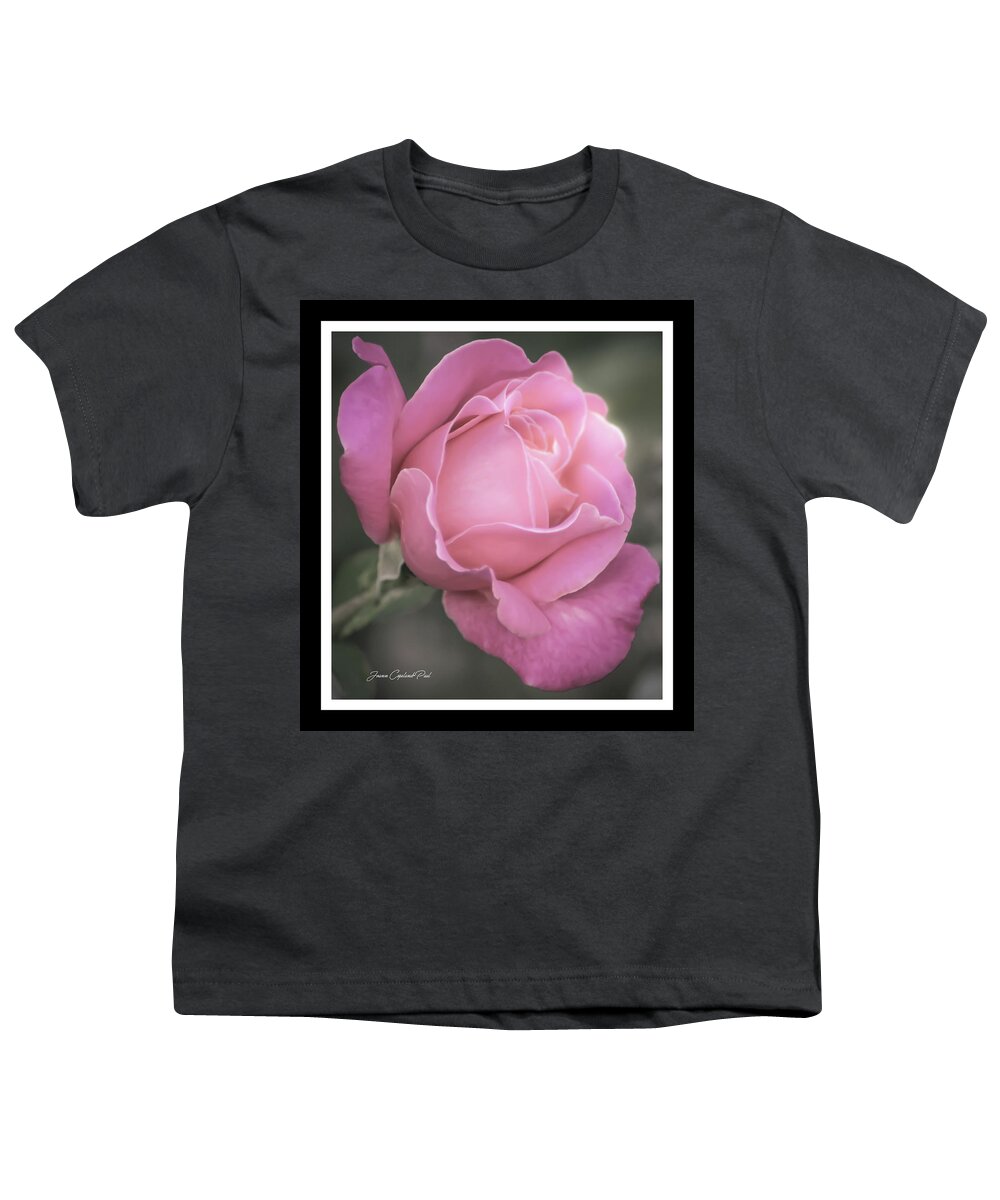 Pink Rose Youth T-Shirt featuring the photograph Single Stem Pink Rose by Joann Copeland-Paul