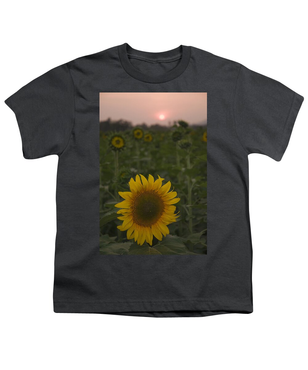 Sun Youth T-Shirt featuring the photograph SKN 2181 Sunflower and Sunset by Sunil Kapadia