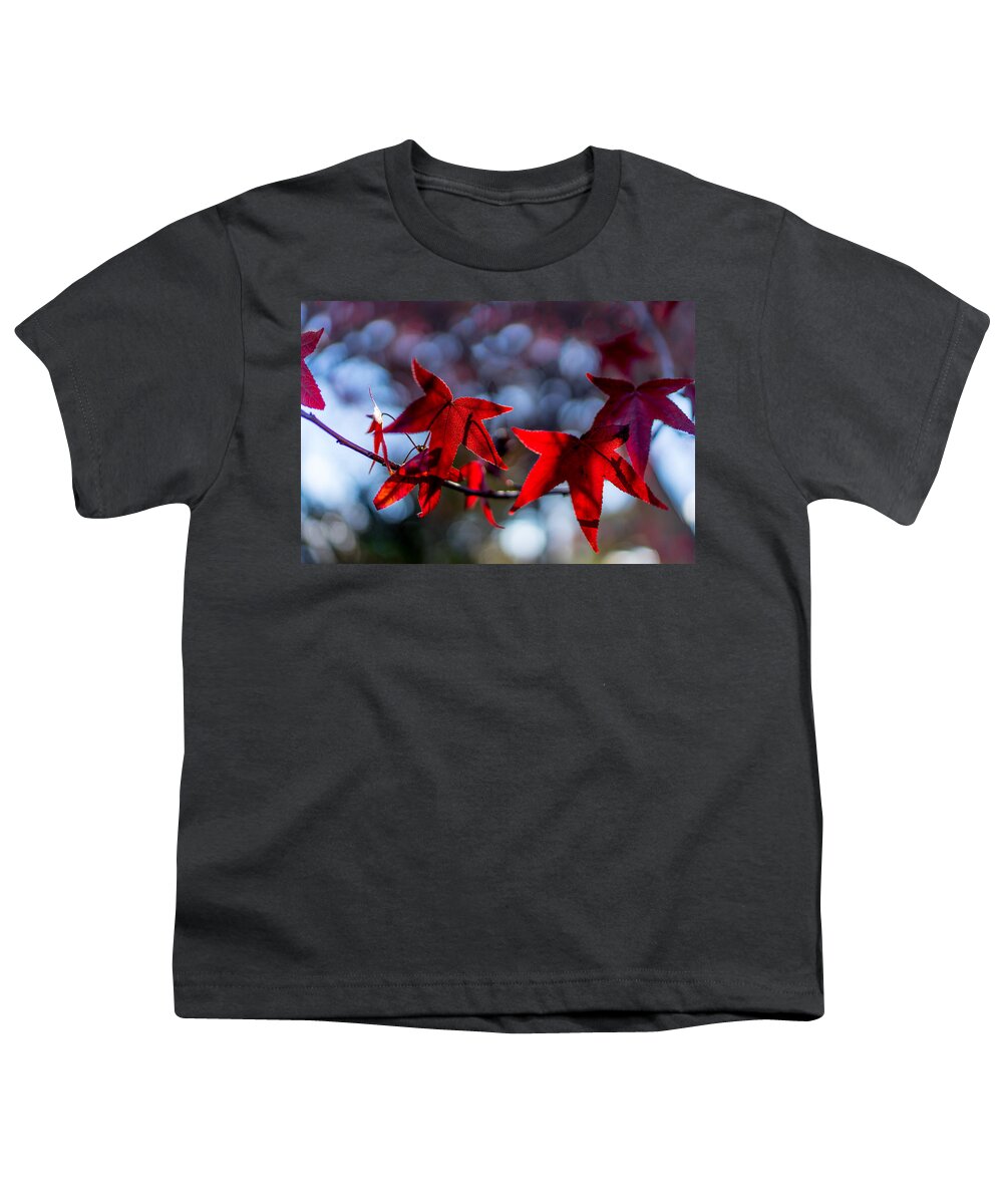 Trees Youth T-Shirt featuring the photograph Sky Dancers by Derek Dean