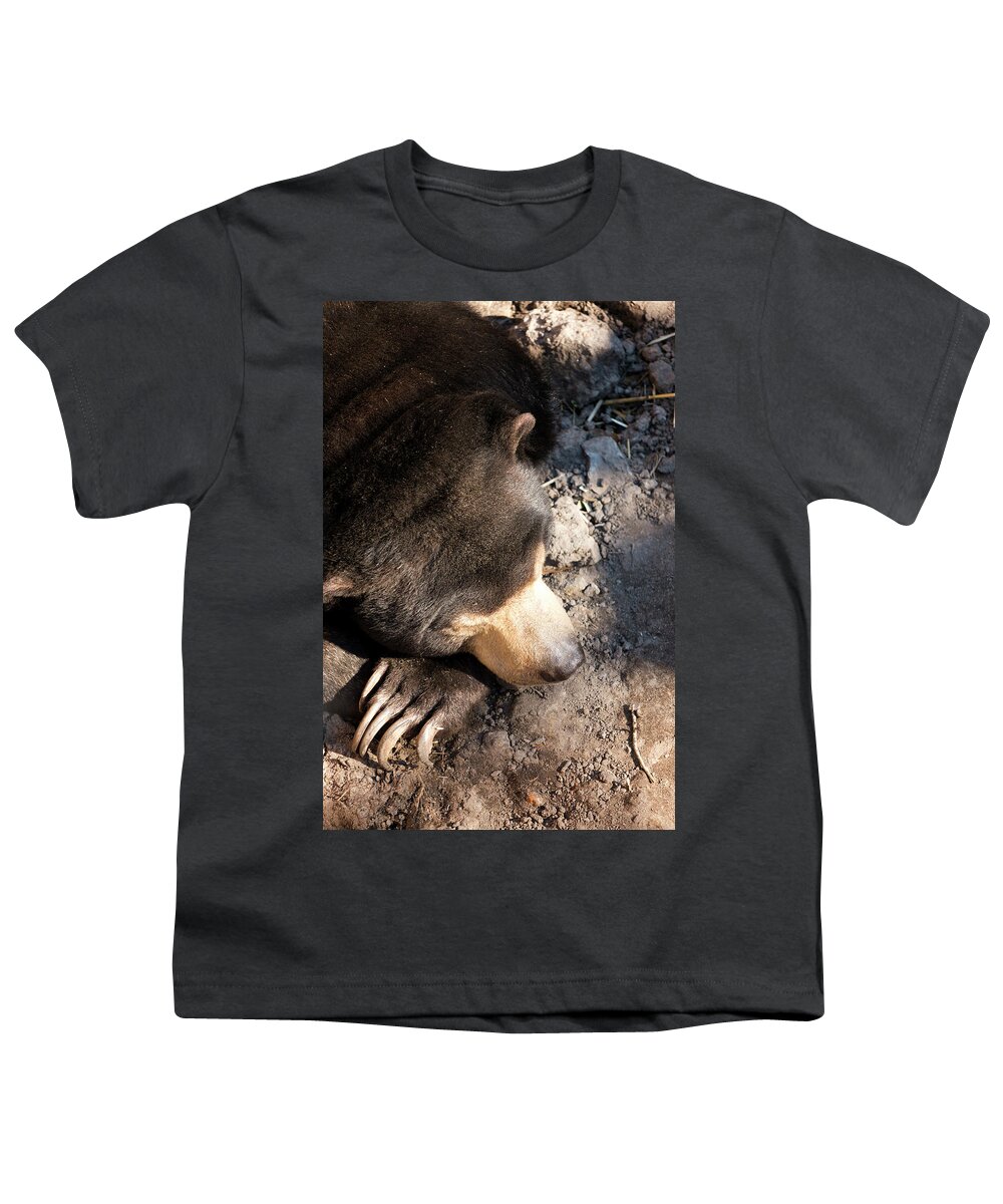 Sun Youth T-Shirt featuring the photograph Sleepy Sun Bear by Travis Rogers