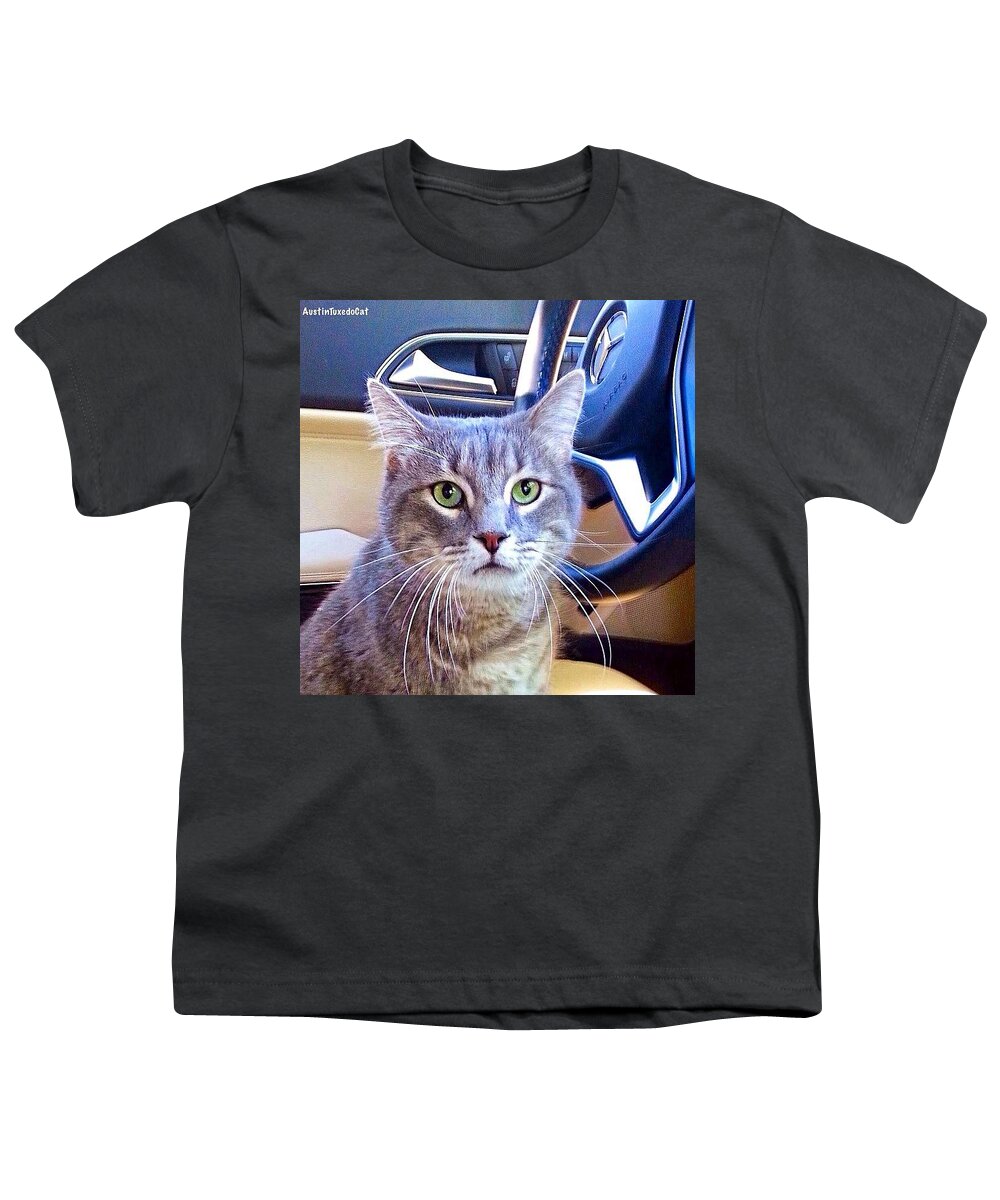 Catsofinstagram Youth T-Shirt featuring the photograph #smokey Is Serious About Driving. It by Austin Tuxedo Cat