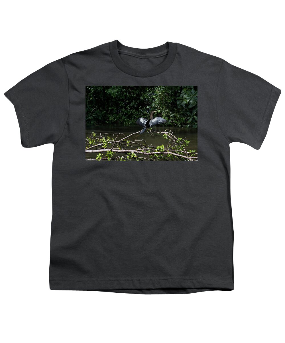 James David Phenicie Youth T-Shirt featuring the photograph Snake Bird Perching by James David Phenicie