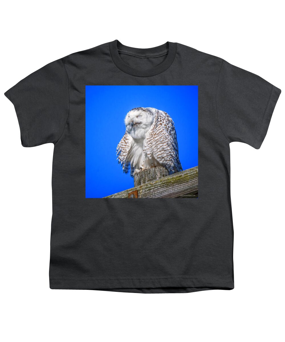 Snowy Owl Youth T-Shirt featuring the photograph Sneeze Snowy Owl by LeeAnn McLaneGoetz McLaneGoetzStudioLLCcom