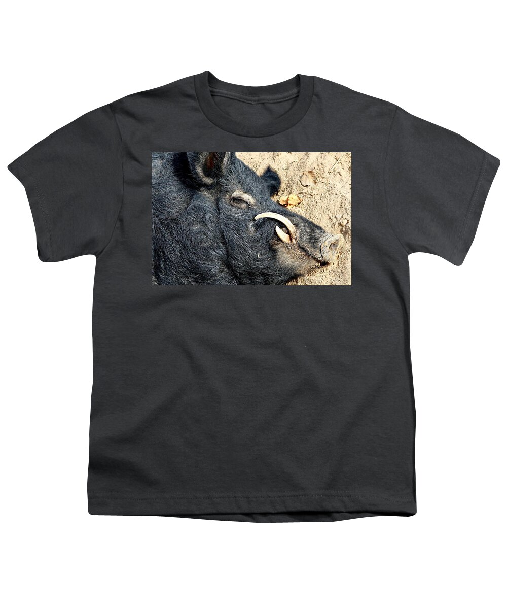 Kj Swan Mammals Youth T-Shirt featuring the photograph Snoozin' Swine by KJ Swan