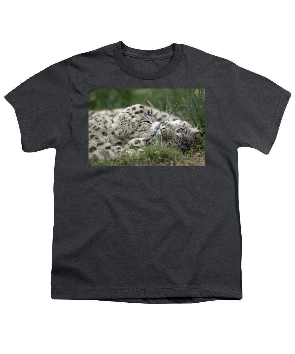 Mp Youth T-Shirt featuring the photograph Snow Leopard Uncia Uncia Pair Playing by Cyril Ruoso