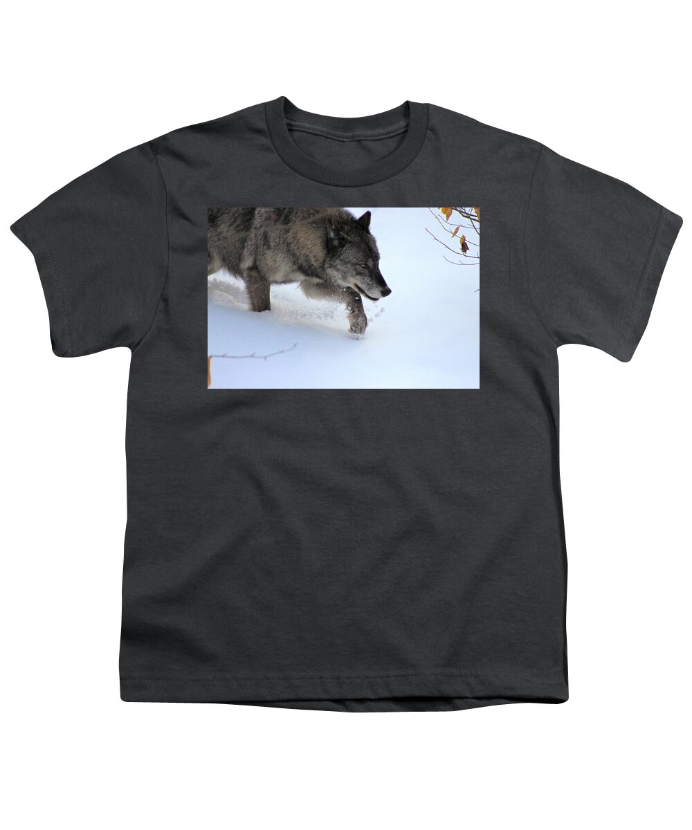 Wolf Youth T-Shirt featuring the photograph Snow Walker by Azthet Photography