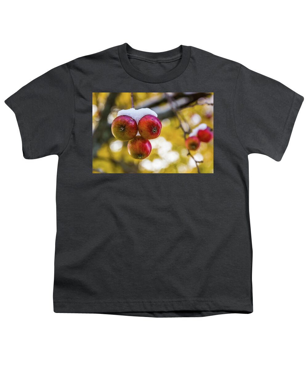 Apples Youth T-Shirt featuring the photograph Snowy Apples by Tim Kirchoff