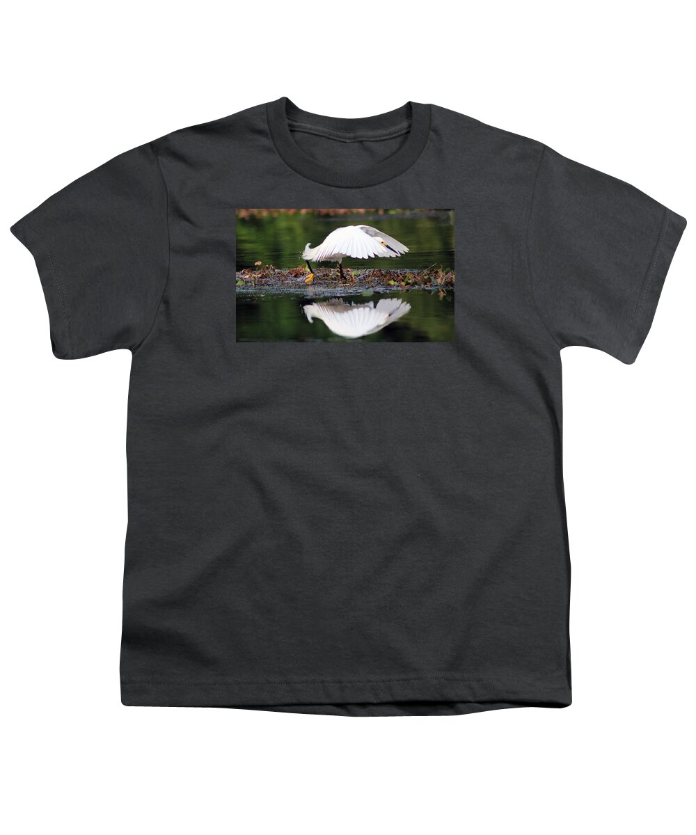 Bird Youth T-Shirt featuring the photograph Snowy Egret Taking Flight by DB Hayes