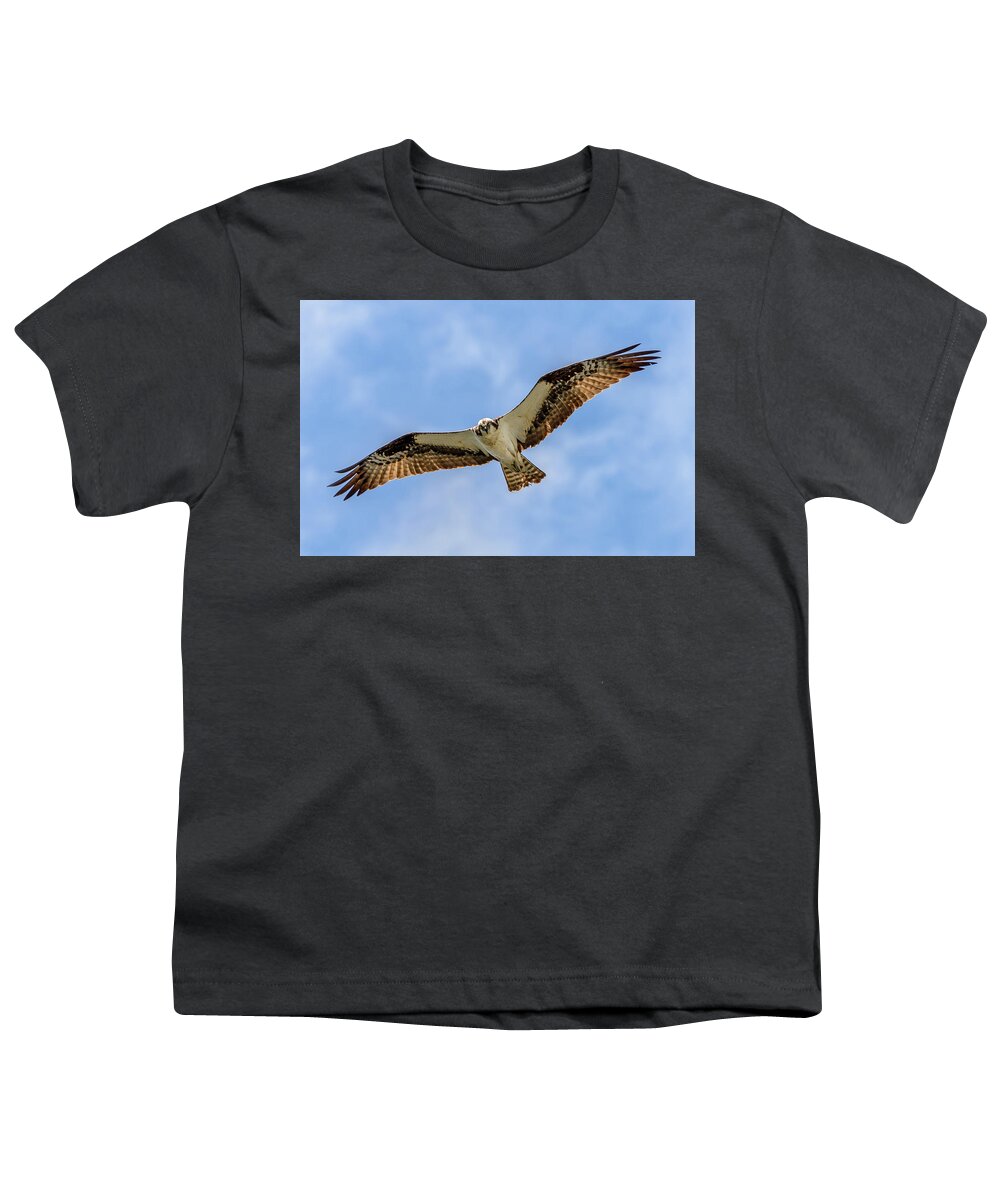 Osprey Youth T-Shirt featuring the photograph Soaring Osprey by Jerry Cahill