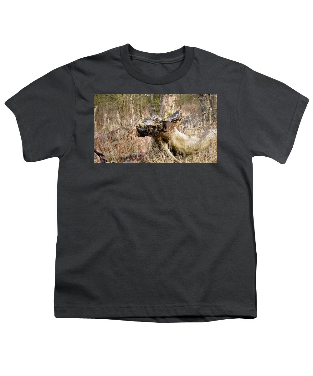 Woods Youth T-Shirt featuring the photograph Something about a dragon. by Elena Perelman