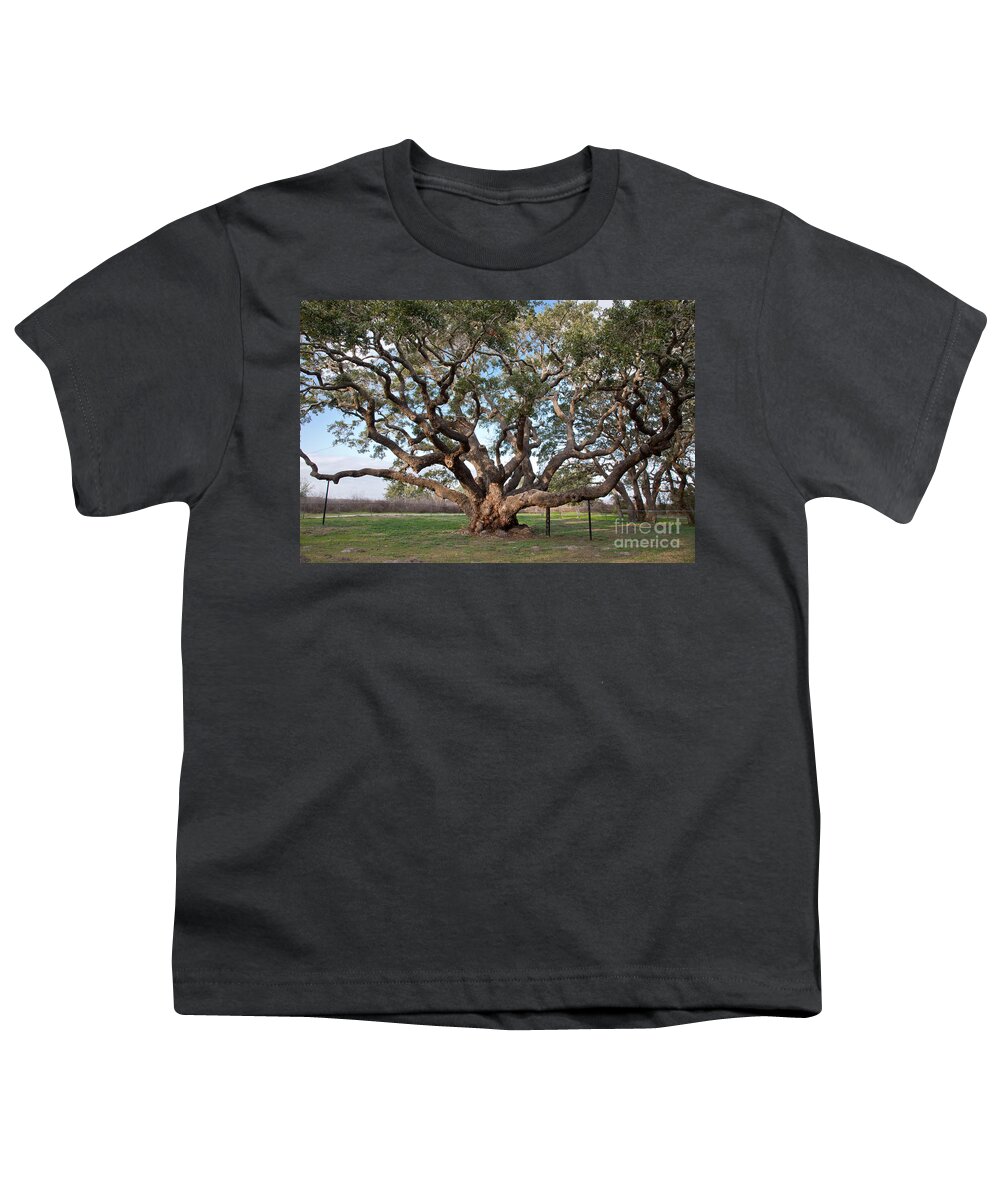 Tree Youth T-Shirt featuring the photograph Southern Live Oaks by Inga Spence