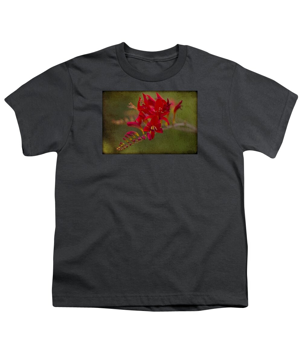 Clare Bambers Youth T-Shirt featuring the photograph Splash of Red. by Clare Bambers