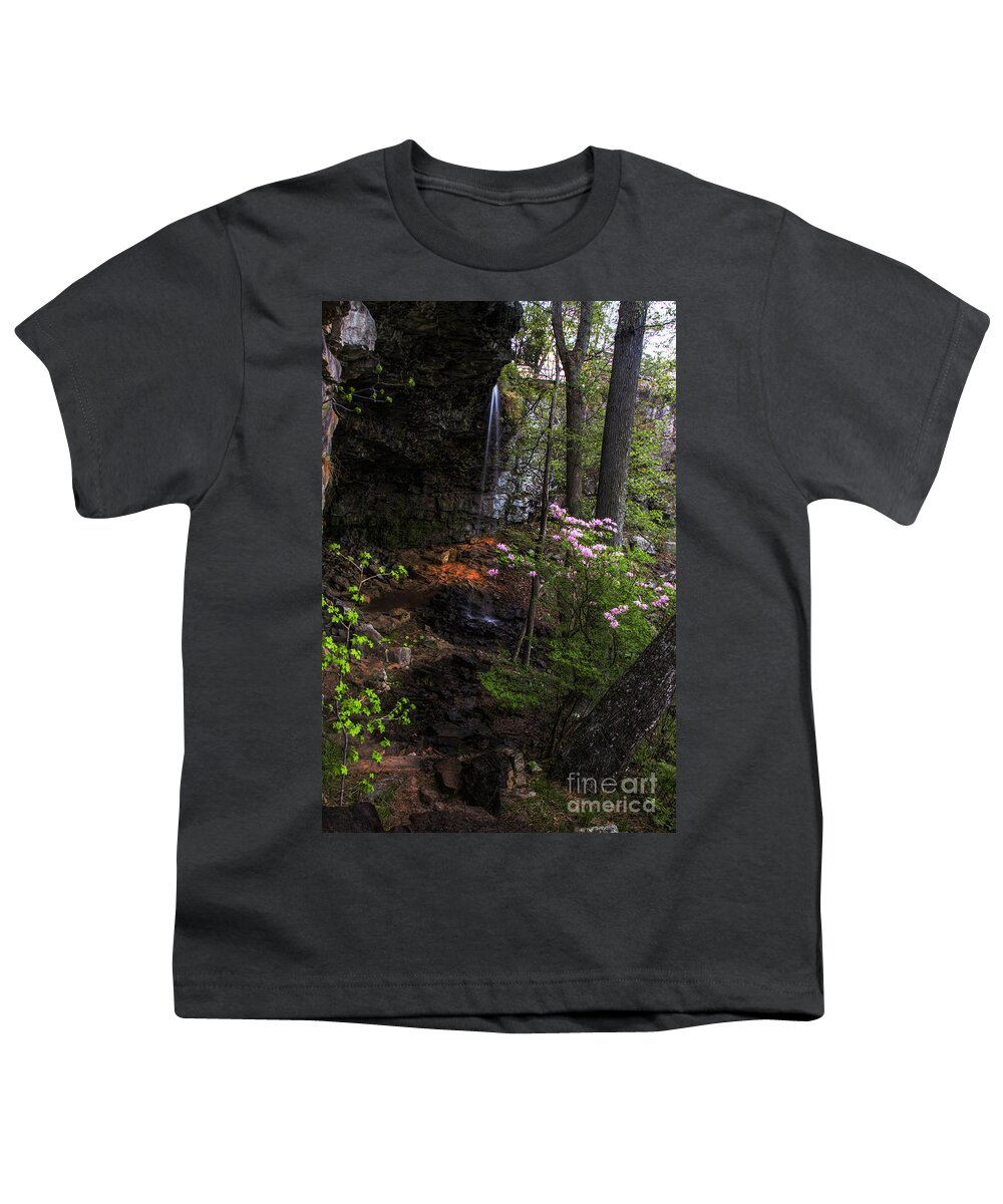 Piedmont Azalea Youth T-Shirt featuring the photograph Spring flowers at Keon Falls by Barbara Bowen