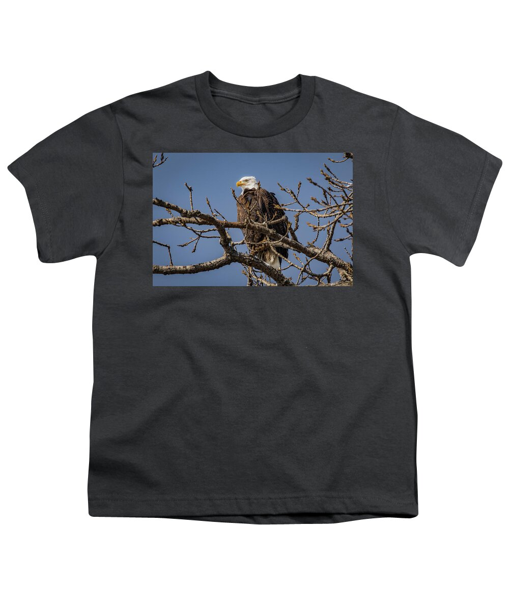 American Bald Eagle Youth T-Shirt featuring the photograph Springtime Eagle by Ray Congrove