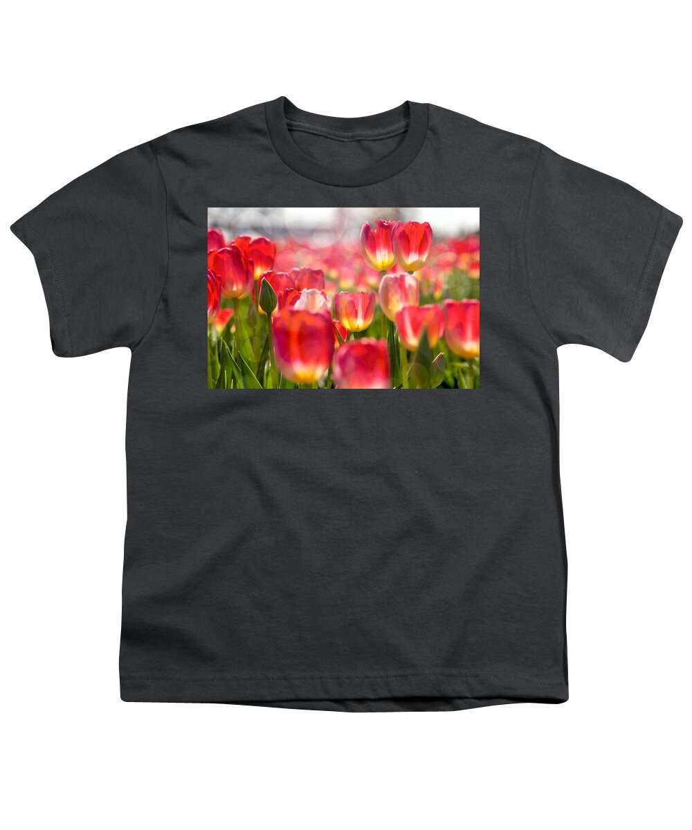 Wooden Shoe Youth T-Shirt featuring the photograph Standing Out in the Crowd by David Gn