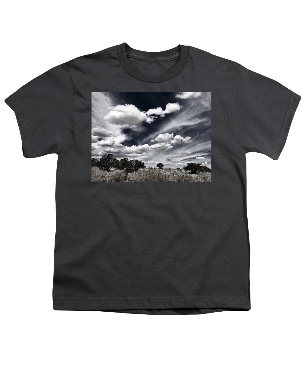 Landscapes Youth T-Shirt featuring the photograph Stands Alone by Brad Hodges
