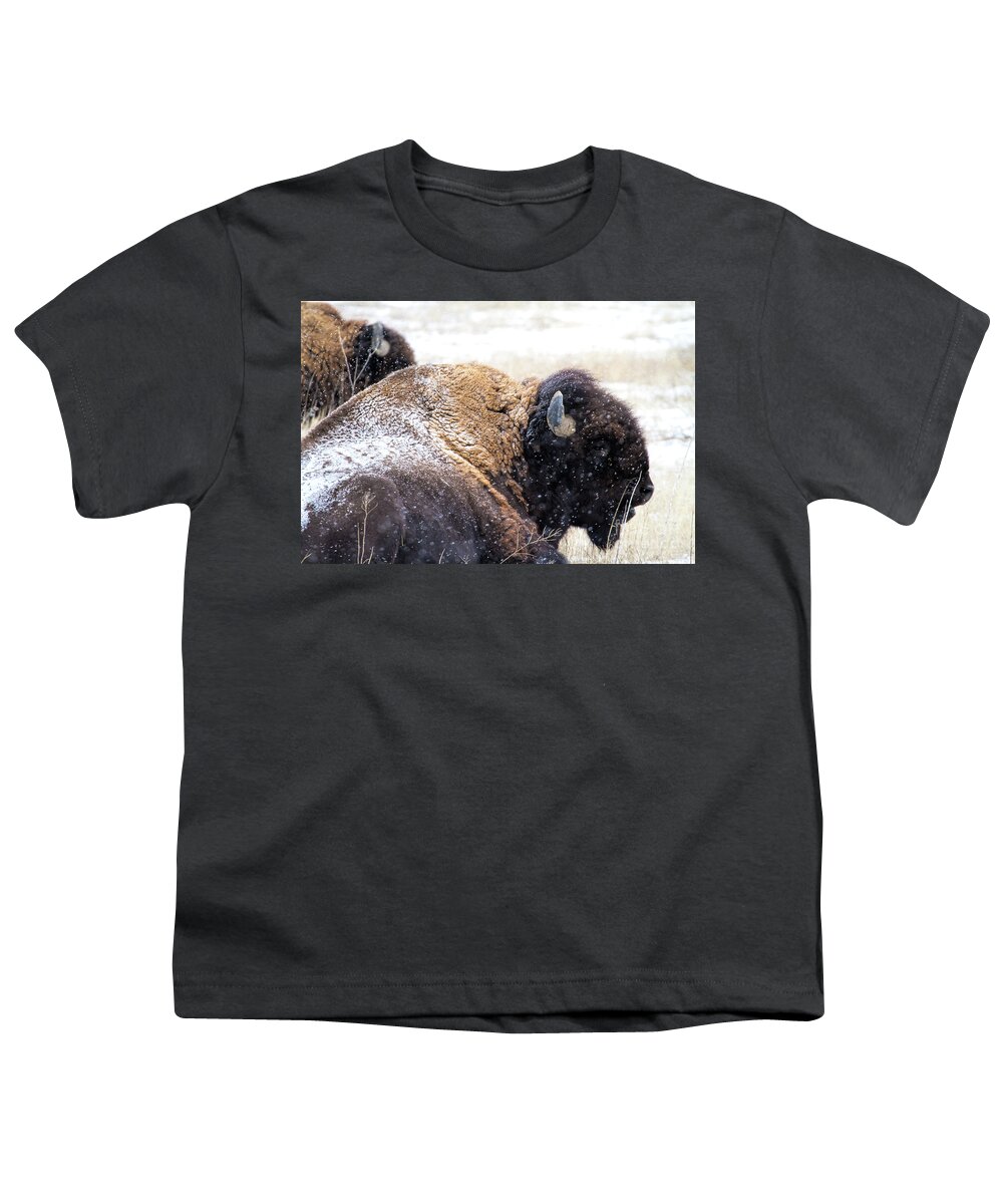 Buffalo Youth T-Shirt featuring the photograph Storm Riders by Jim Garrison