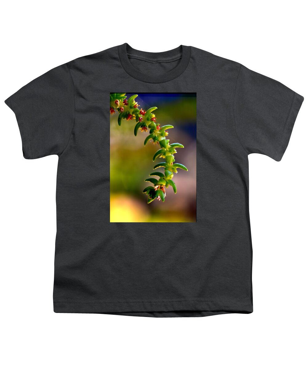 Succulent Youth T-Shirt featuring the photograph Succulent Hanging by Josephine Buschman
