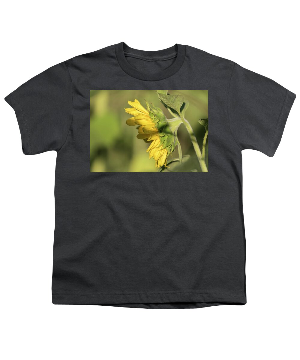 Sunflower Youth T-Shirt featuring the photograph Sunflower 2016-1 by Thomas Young