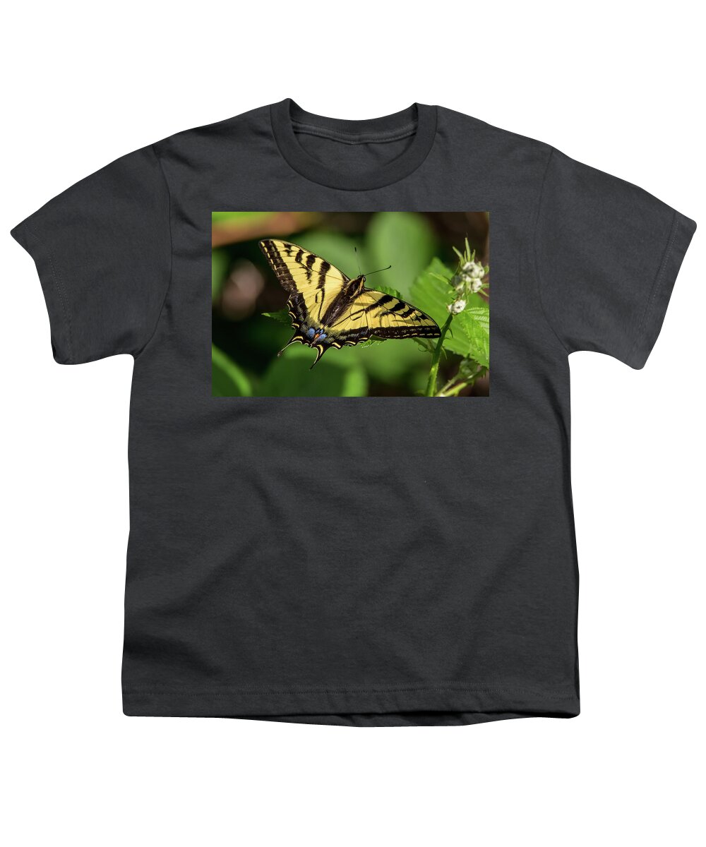 California Youth T-Shirt featuring the photograph Swallowtail Butterfly on a Leaf by Marc Crumpler