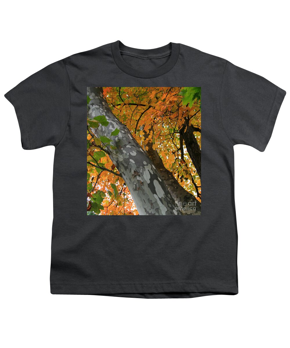 Plant Youth T-Shirt featuring the photograph Sycamore Tree in October by Karen Adams