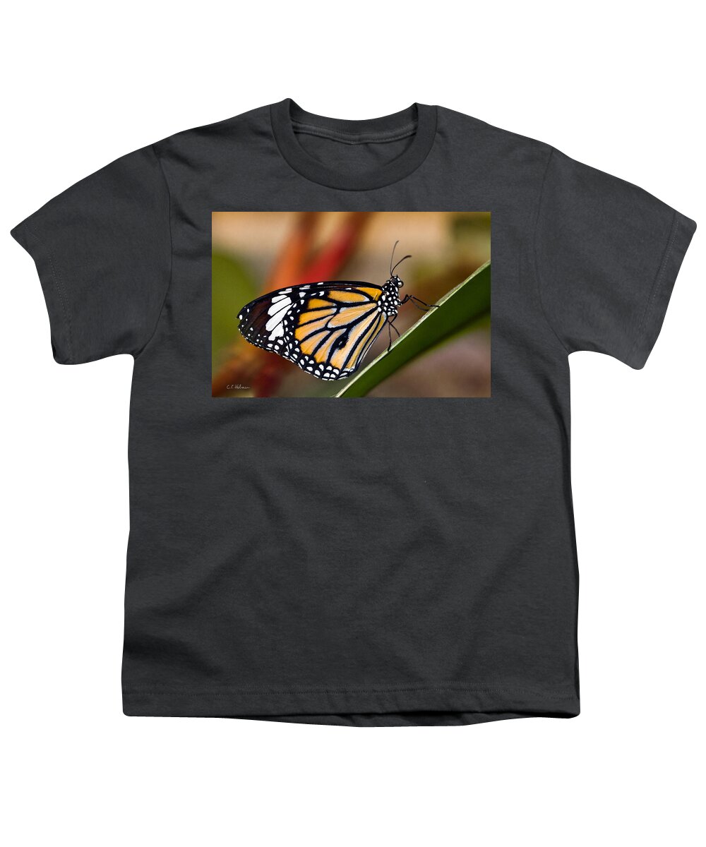 Butterfly Youth T-Shirt featuring the photograph Taking A Break by Christopher Holmes