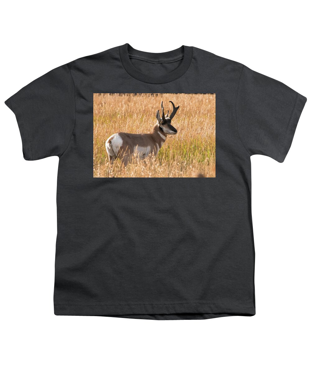 Pronghorn Youth T-Shirt featuring the photograph Teton Pronghorn by Jennifer Ancker