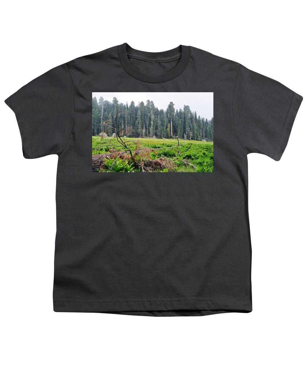 Sequoia National Park Youth T-Shirt featuring the photograph Tharps Log Meadow by Kyle Hanson