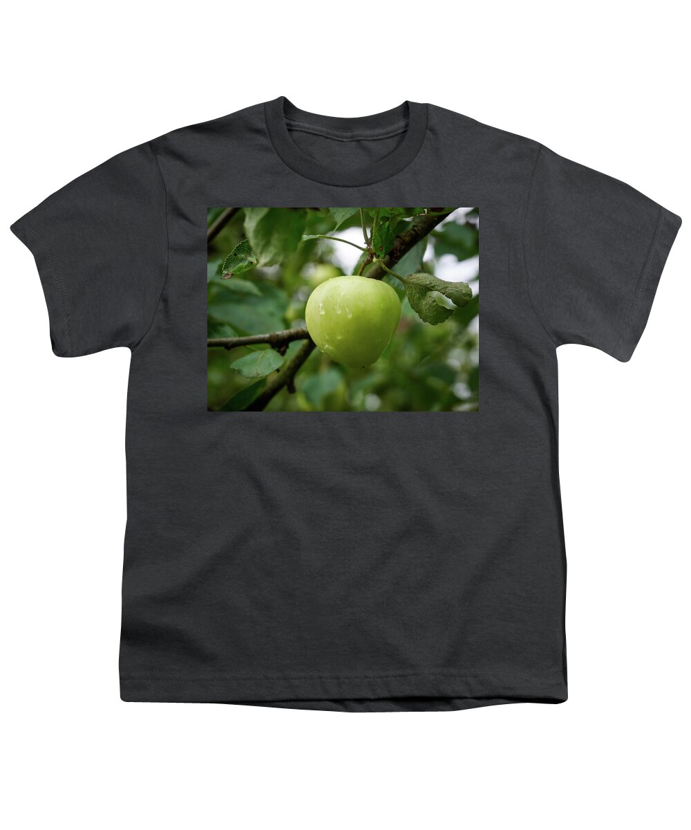 Finland Youth T-Shirt featuring the photograph The Blond Apple by Jouko Lehto