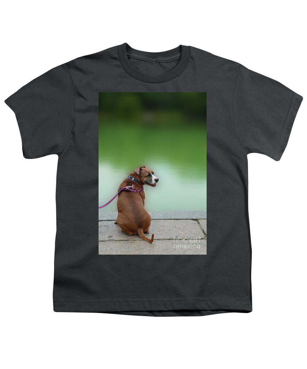 Boxer Youth T-Shirt featuring the photograph The Boxer in Central Park by Joseph J Stevens