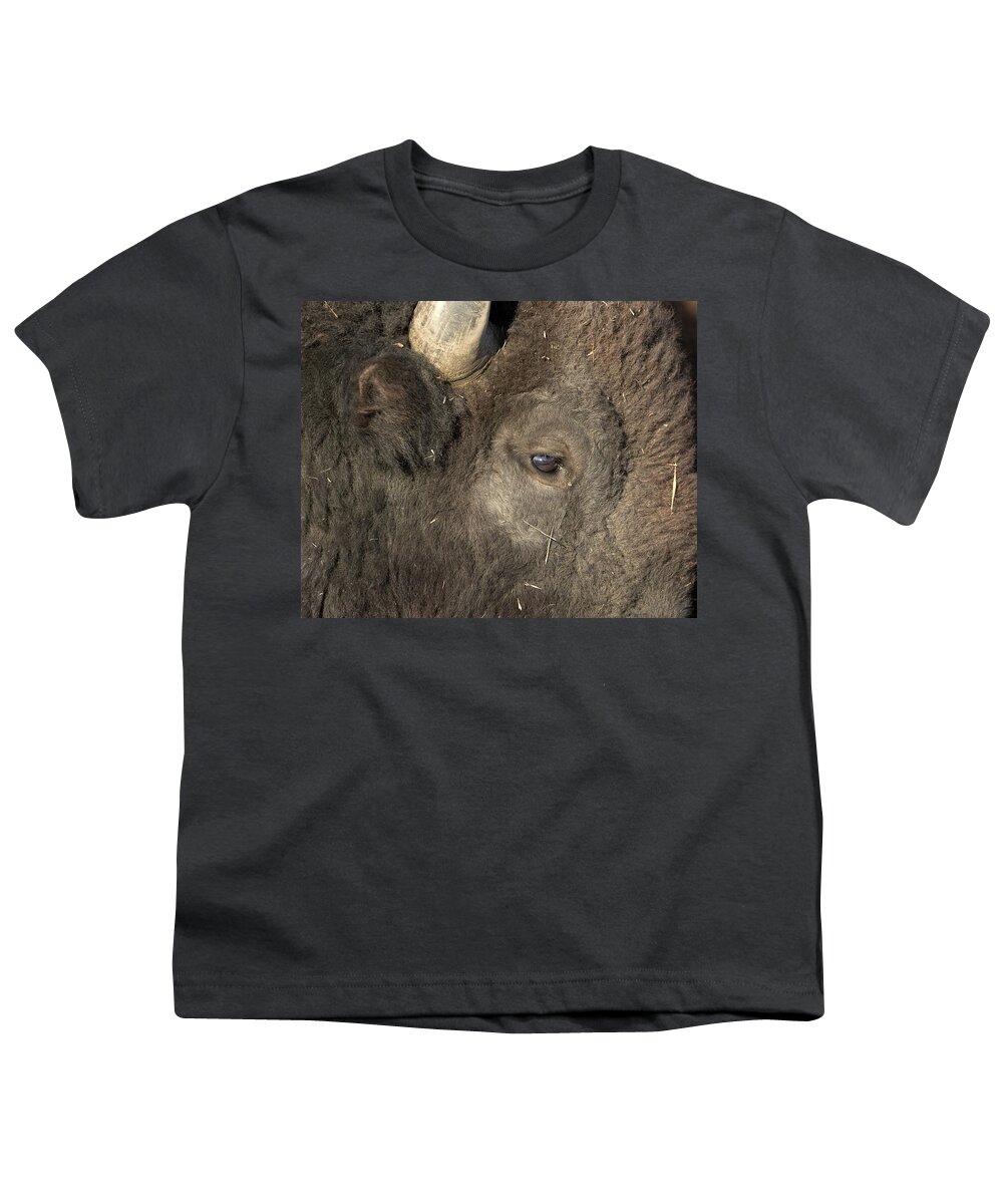 Bison Youth T-Shirt featuring the photograph The Eye of a Bison by Ronnie And Frances Howard