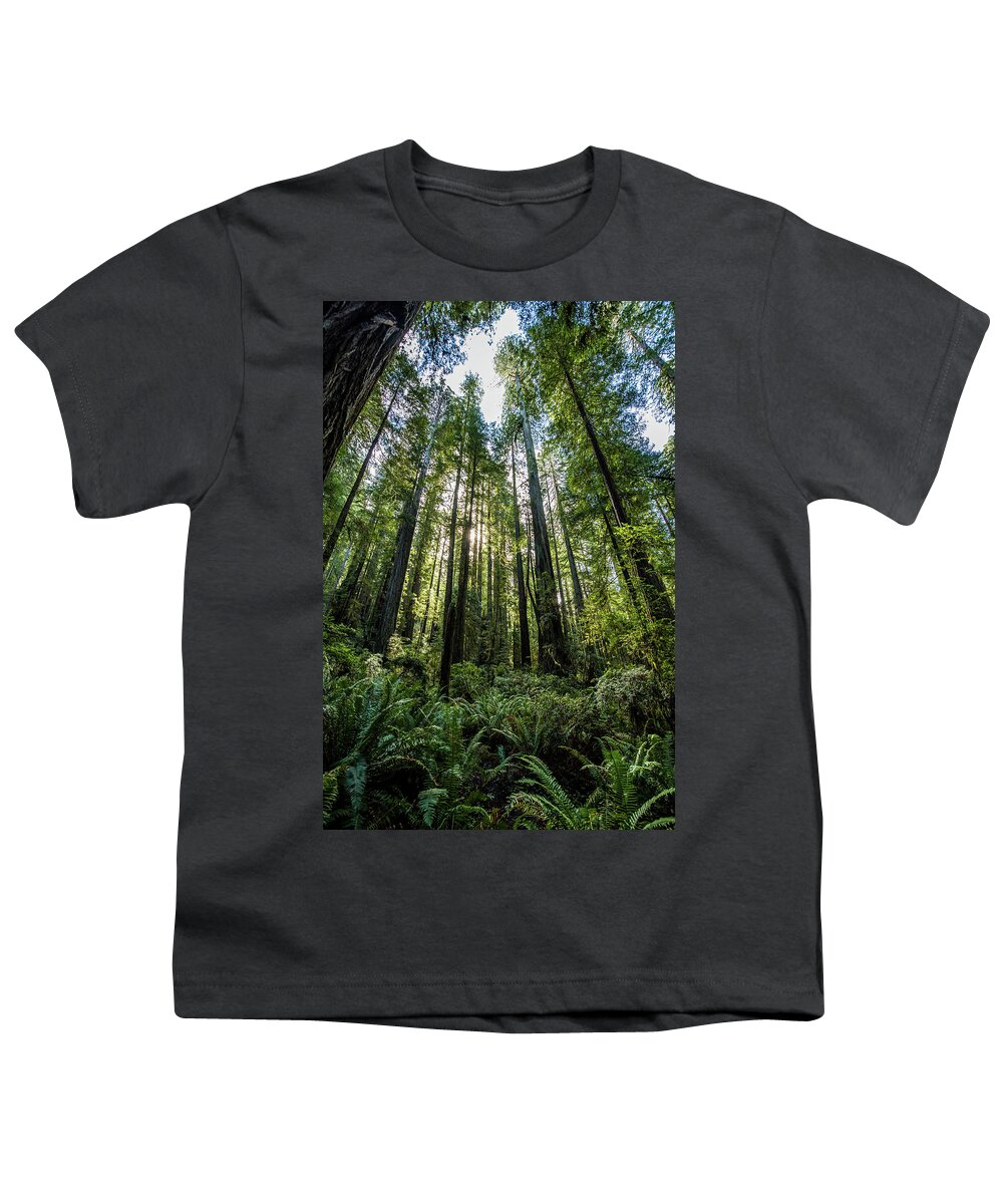  Youth T-Shirt featuring the photograph The Forest by Paul Freidlund