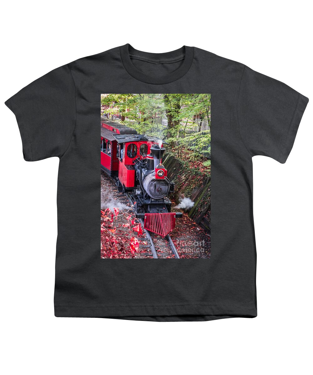 Fun Youth T-Shirt featuring the photograph The Fun Train by Lynn Sprowl