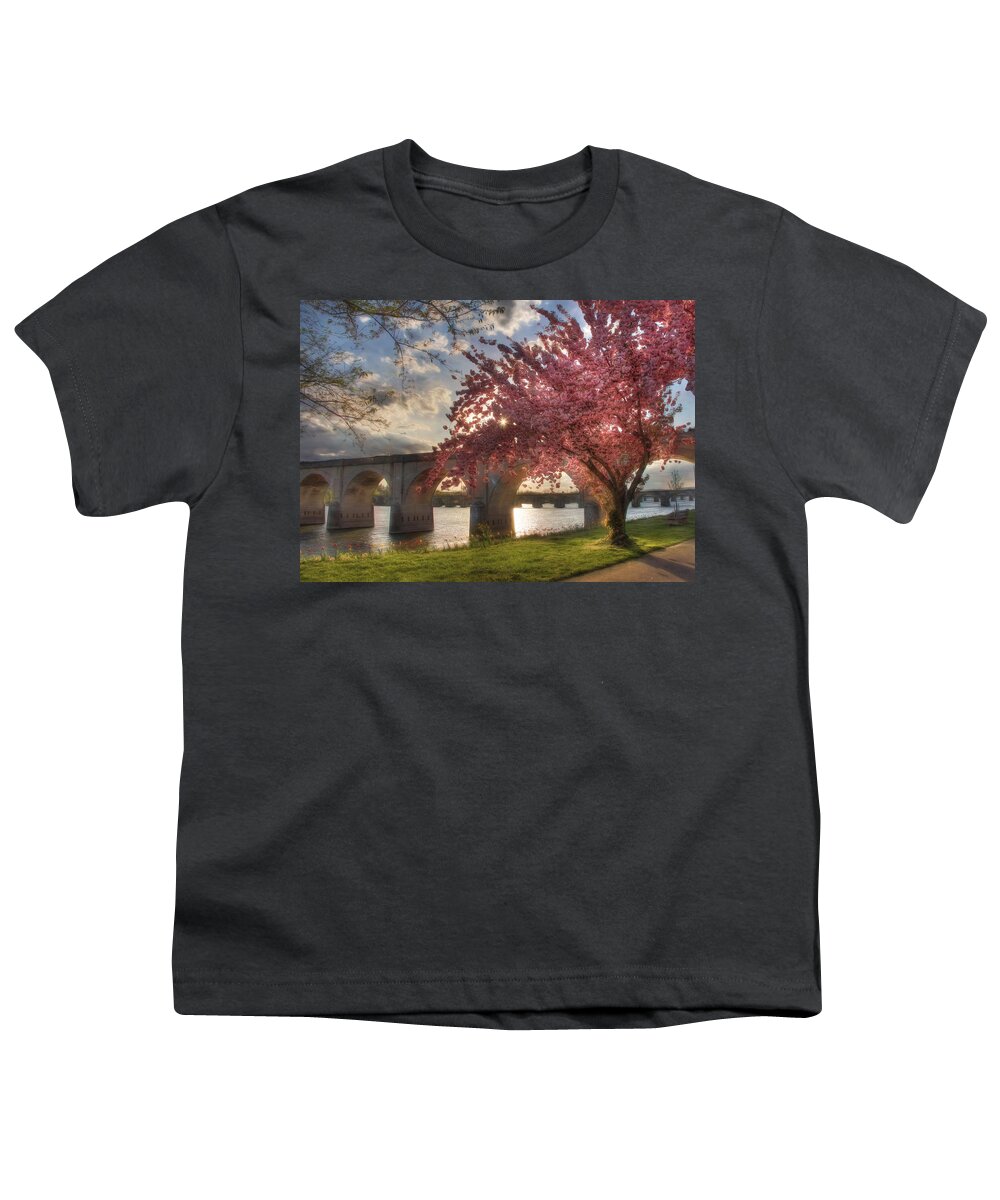 Tree Youth T-Shirt featuring the photograph The Last Glimmer by Lori Deiter