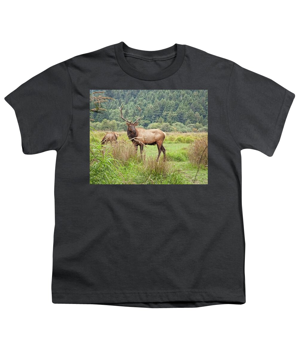 Landscape Youth T-Shirt featuring the photograph The Leader by John M Bailey