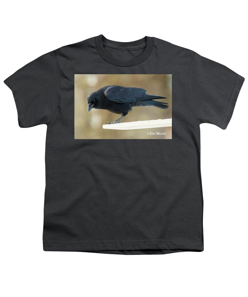 Minnesota Youth T-Shirt featuring the photograph The Stare Down by Joan Wallner