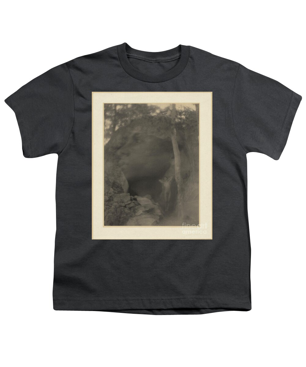 Erotica Youth T-Shirt featuring the photograph The Vision In Orpheus, F. Holland Day by Science Source