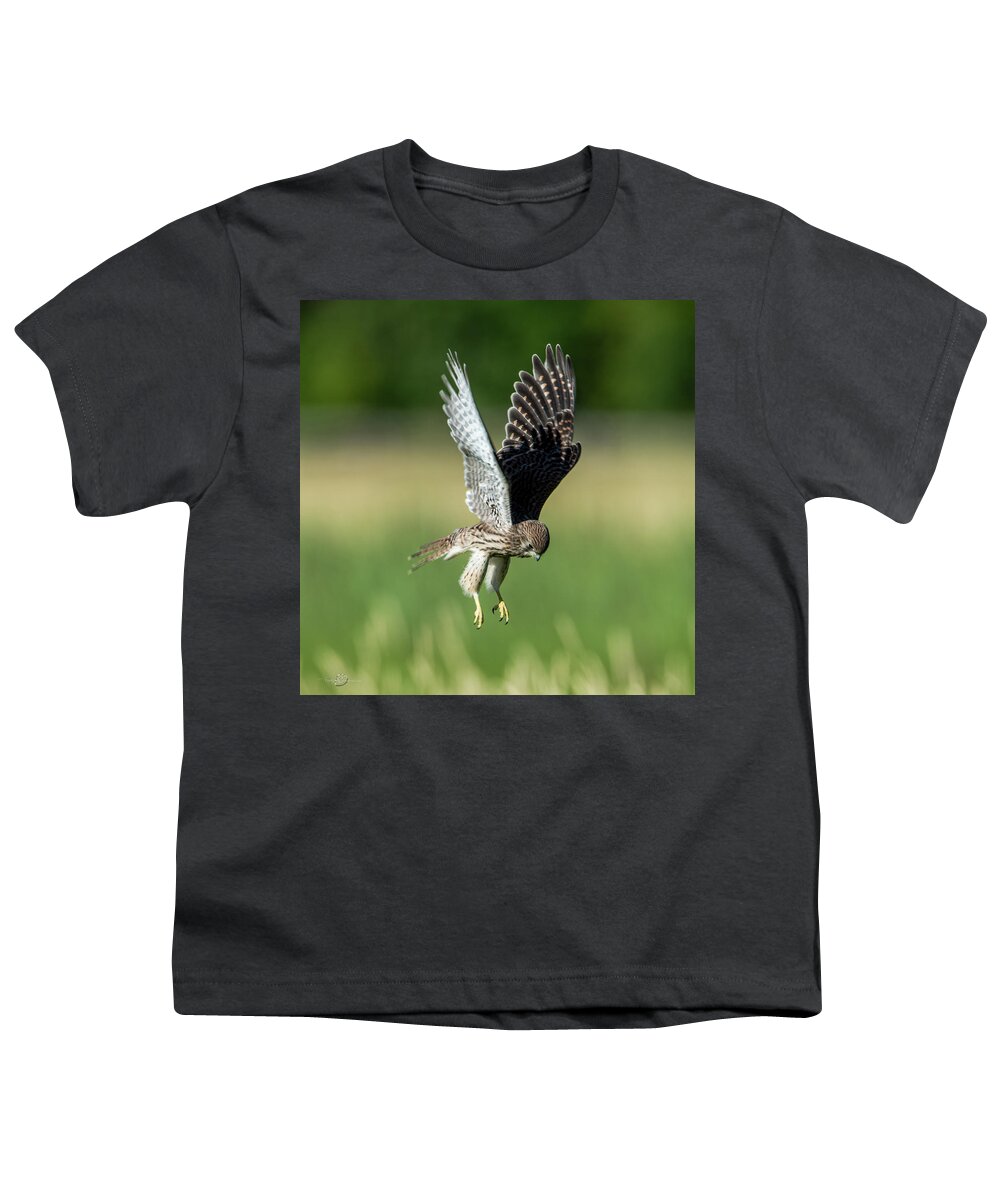 European Kestrel Youth T-Shirt featuring the photograph The young hovering kestrel by Torbjorn Swenelius